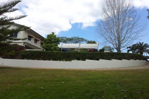 20120817_132130